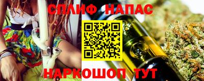 шишки Пенза