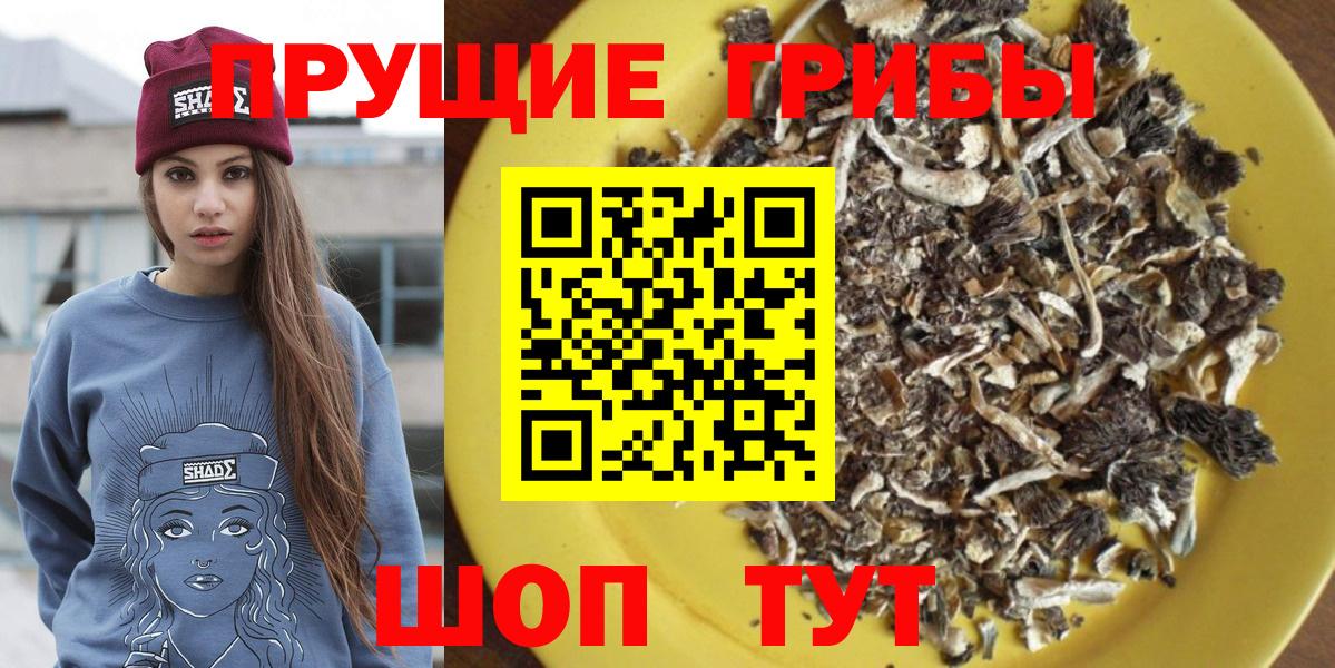 Галлюциногенные грибы ЛСД  Галлюциногенные грибы ЛСД  Вход с VPN  Чайковский 